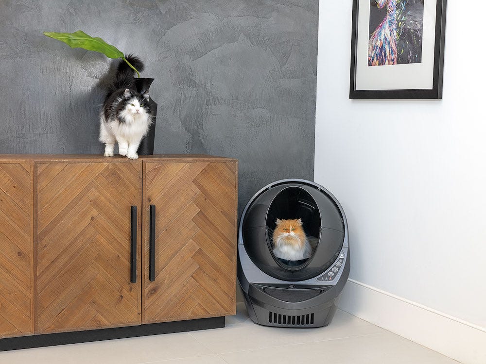 Persian cat using self-cleaning covered litter box