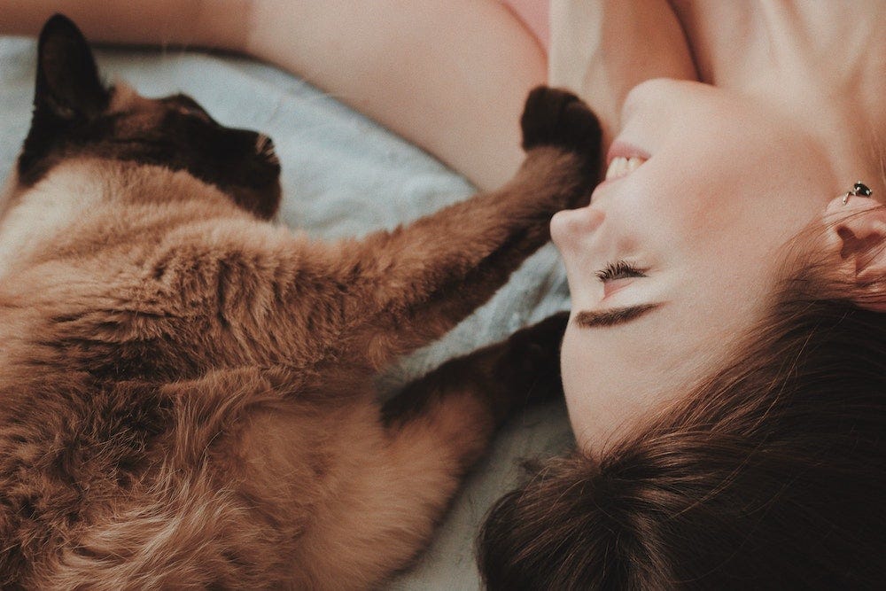 Siamese cat lying with paw on woman's face