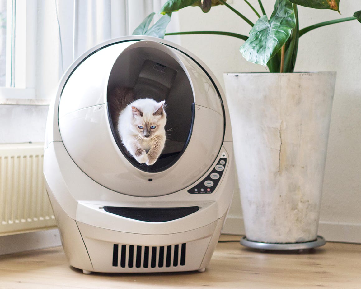 White cat jumping out of a litter robot