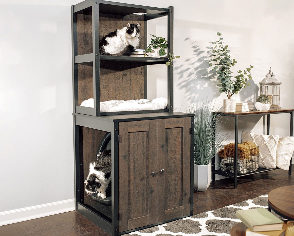 LitterRobot 4 + Hutch Bundle Litter Box Furniture