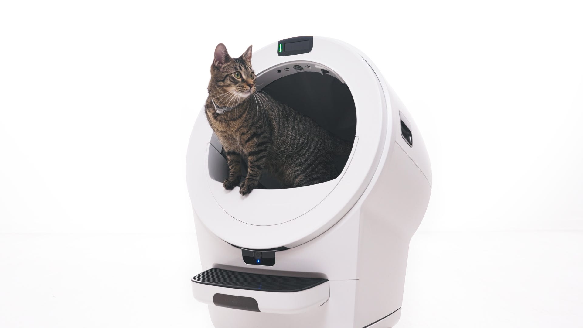 Cat inside of Litter-Robot 5 Pro wearing PetTag
