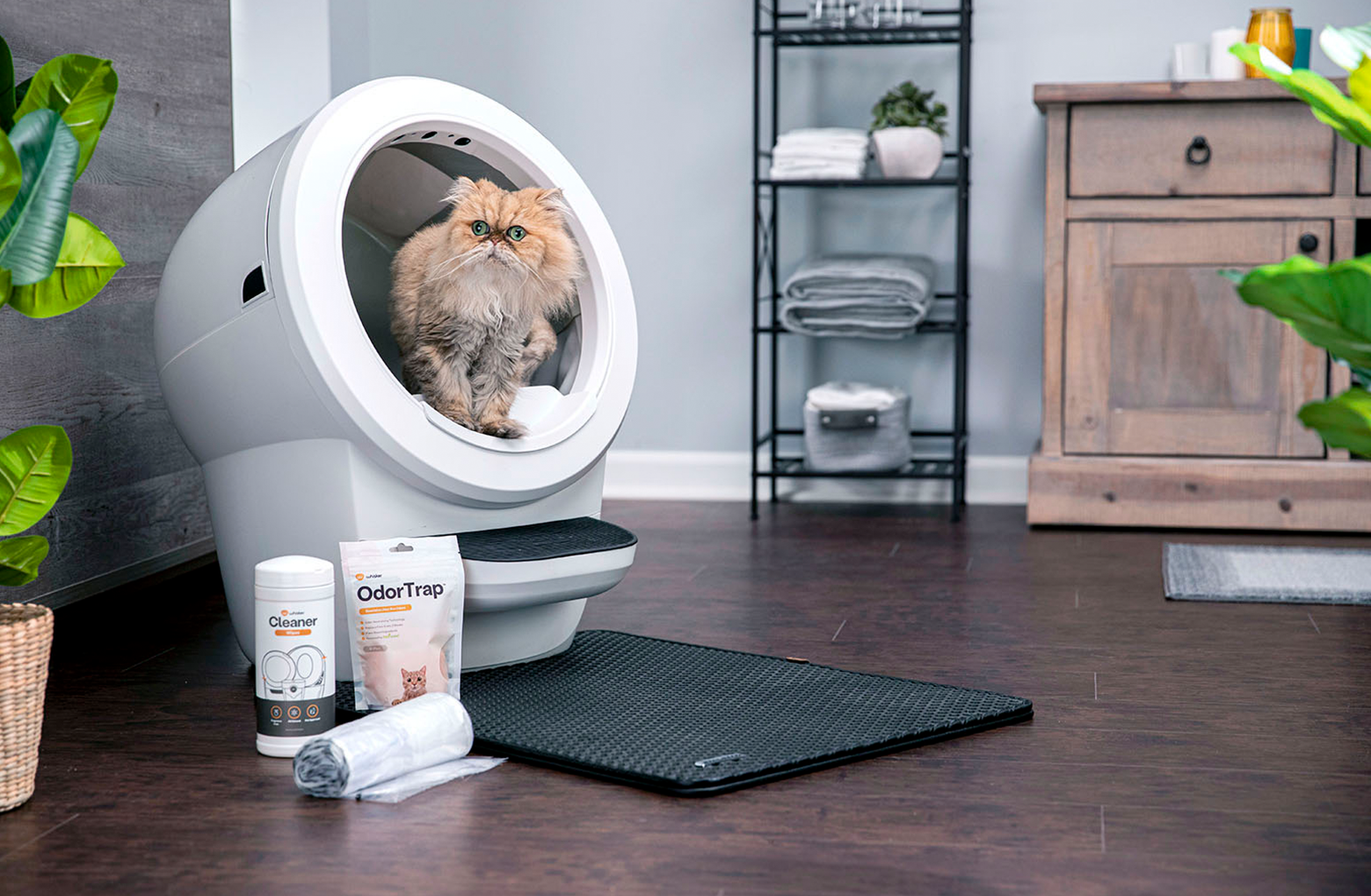 koste musiker Implement Get off on the right paw with our Litter-Robot 4 Fresh Bundle