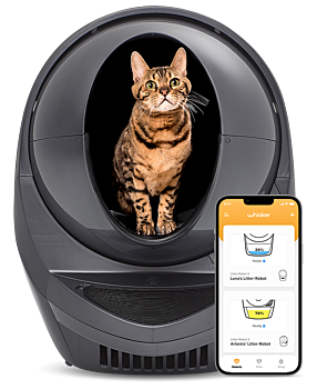 Litter-Robot 3 Connect in grey