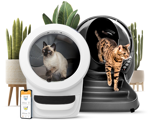 marked når som helst Repaste Automatic, Self-Cleaning Litter Box for Cats | Litter-Robot